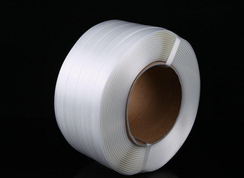 Polyester compostite strap